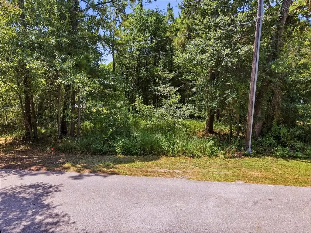 509 Fort Rosalie Place, Dauphin Island, AL 36528 - #1