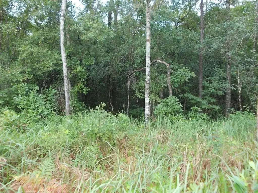 0 Boothtown Road, Citronelle, AL 36522 - #1