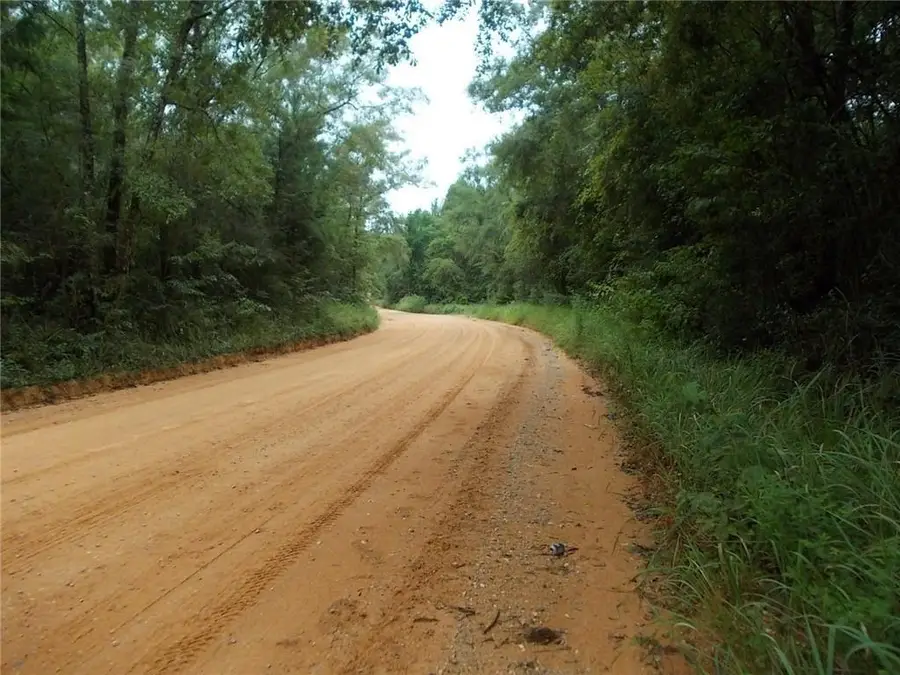 0 Boothtown Road, Citronelle, AL 36522 - #3