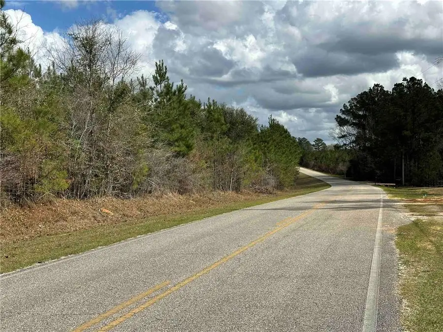 0 Maytower Road, Stockton, AL 36579 - #2