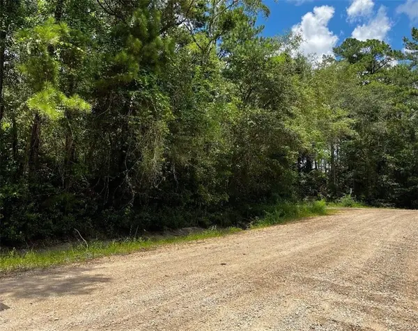0 Belle Terrace Drive, Theodore, AL 36582
