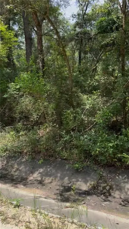 0 Belle Terrace Drive, Theodore, AL 36582 - #2