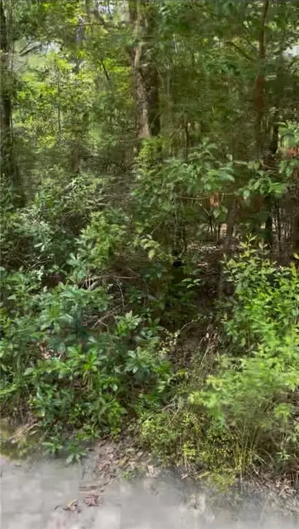 0 Belle Terrace Drive, Theodore, AL 36582 - #3