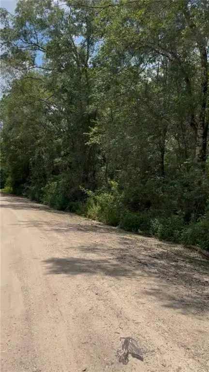 0 Leatherwood Drive, Theodore, AL 36582