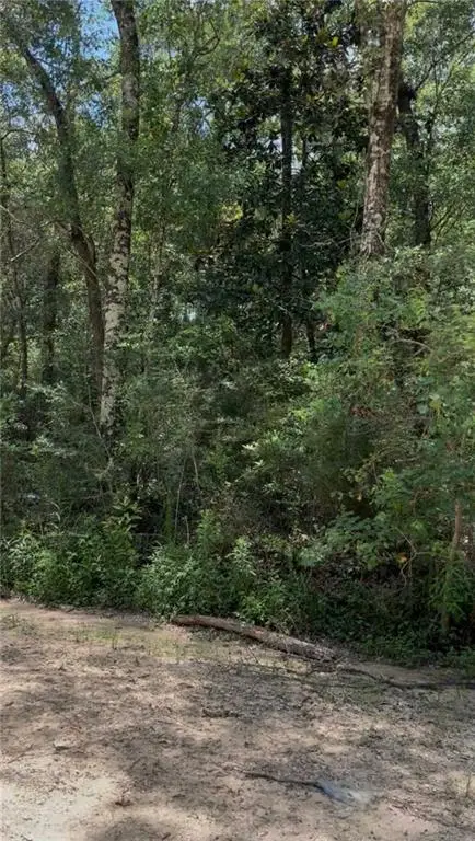 0 Leatherwood Drive, Theodore, AL 36582 - #2
