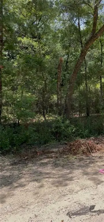 0 Leatherwood Drive, Theodore, AL 36582 - #3