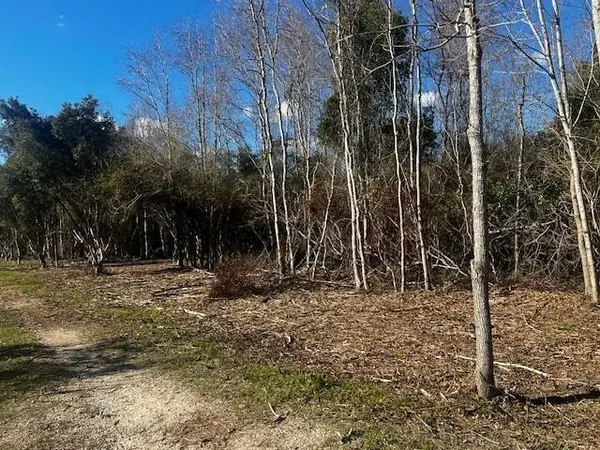 0 Bellingrath Road, Theodore, AL 36582