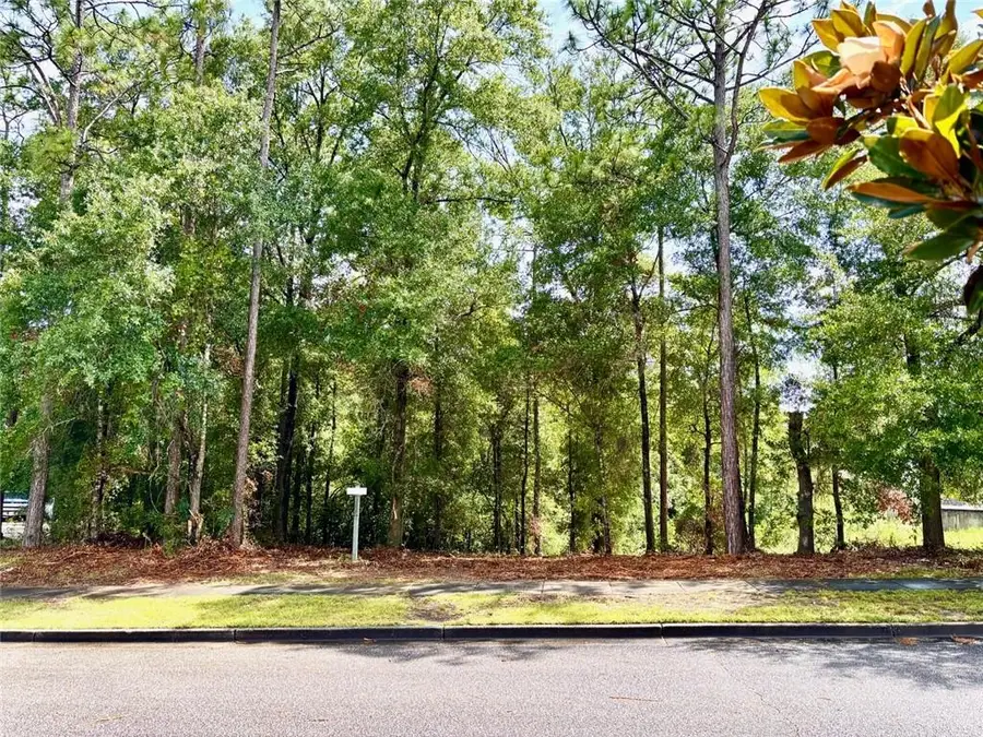 0 Red Maple Drive, Mobile, AL 36618 - #3