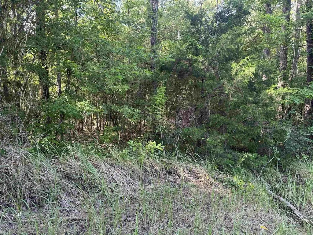 0 Rice Creek Road, Stockton, AL 36579 - #1