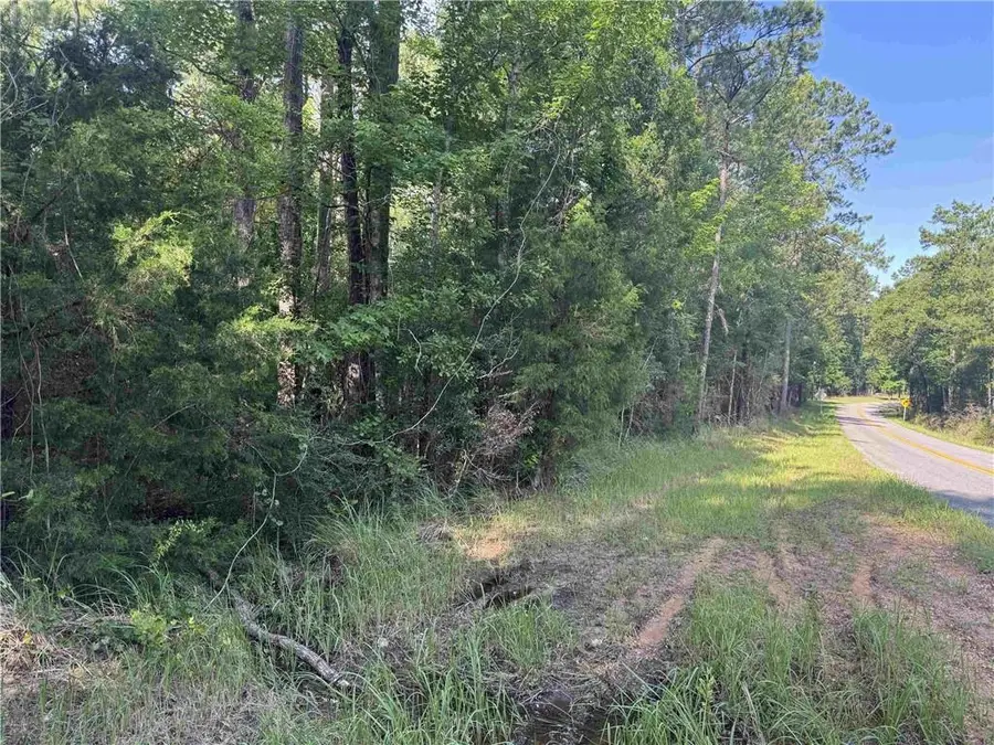 0 Rice Creek Road, Stockton, AL 36579 - #3