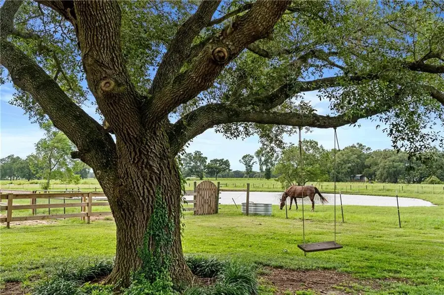 25331 Austin Road, Daphne, AL 36526 - #3