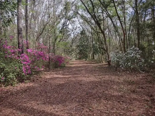 9606 Beverly Road, Irvington, AL 36544 - #3