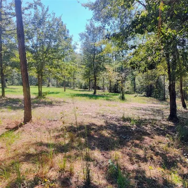0 Sam Lewis Road, Citronelle, AL 36522 - #1
