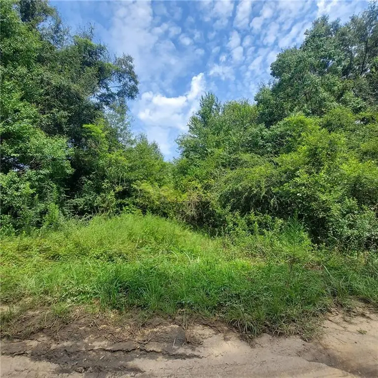 0 Outlaw Road, Eight Mile, AL 36613 - #1
