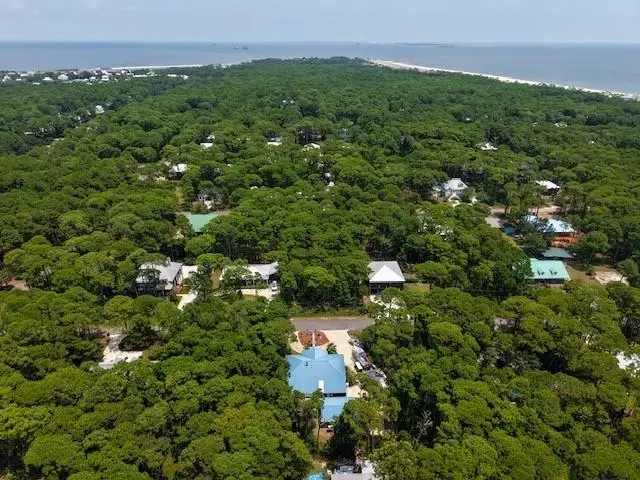 126 Epinet Street, Dauphin Island, AL 36528 - #3