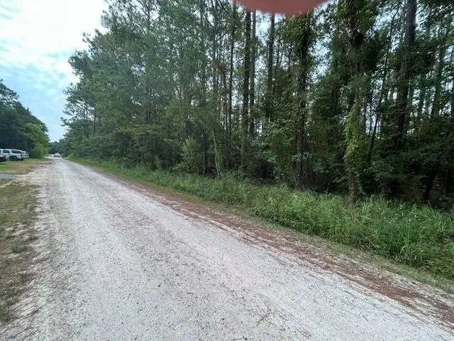 0 Highway 188, Coden, AL 36523 - #1