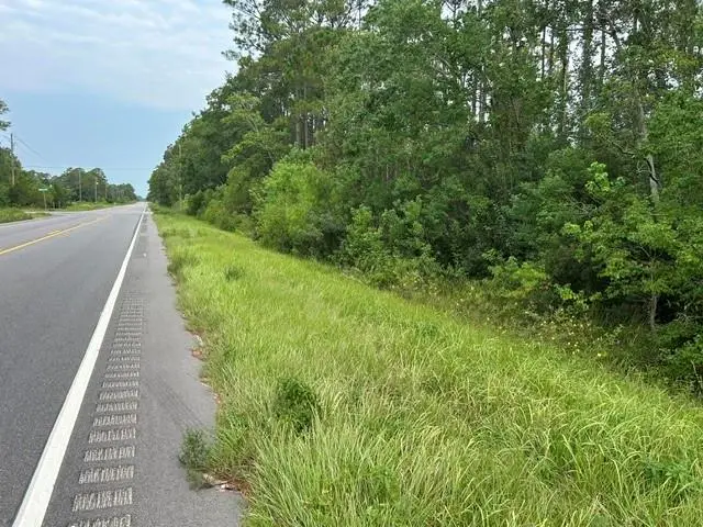 0 Highway 188, Coden, AL 36523 - #3