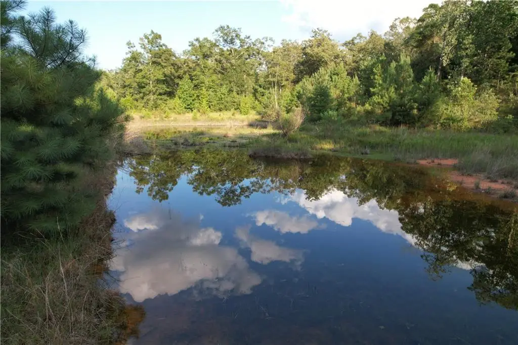 0 Hunters Trail, Citronelle, AL 36522 - #1