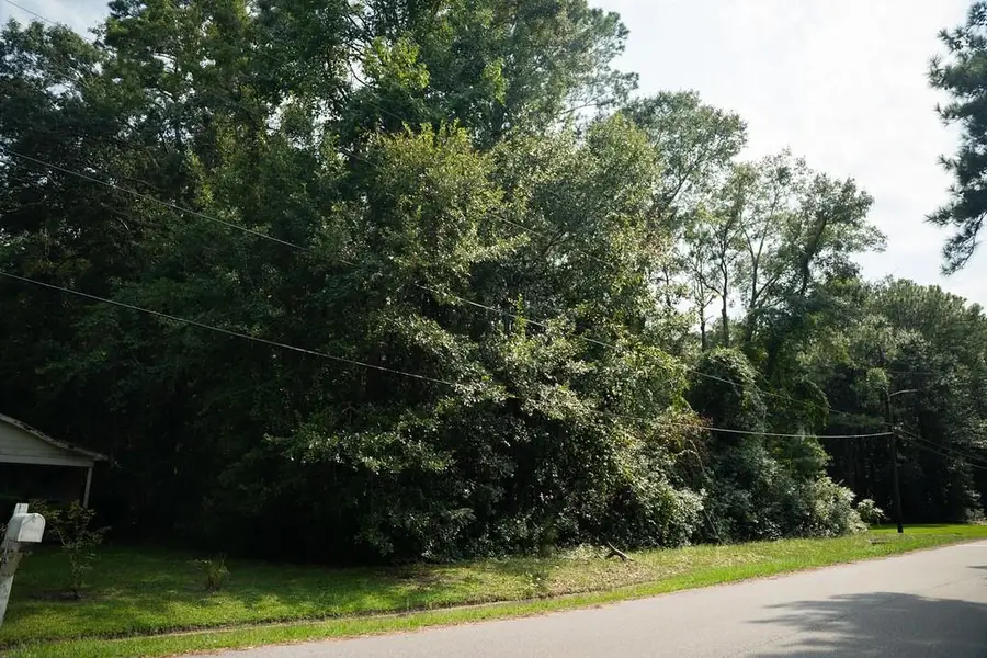 1121 North Drive, Mobile, AL 36605 - #2