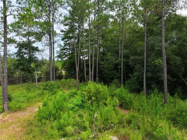 0 Foxtrap Road, Saraland, AL 36571
