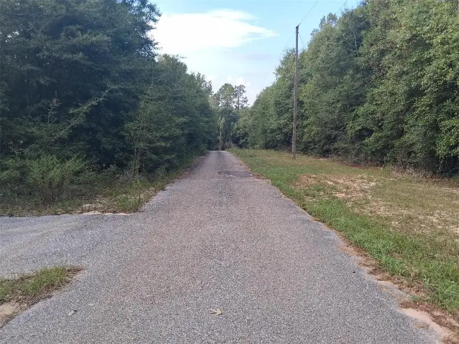 0000 Beaver Lake Court, Wilmer, AL 36587 - #2