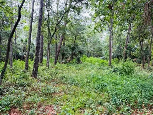 0 La Coste Court, Dauphin Island, AL 36528 - #1