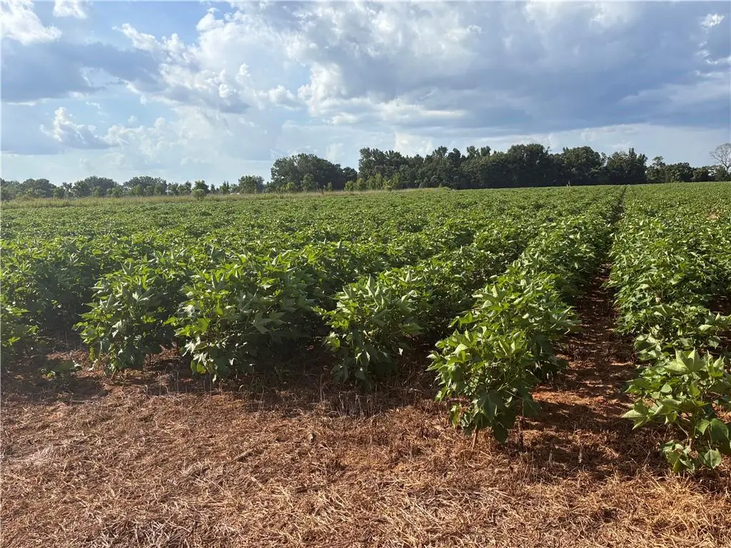 0 Davis Pond Road, Atmore, AL 36502 - #1