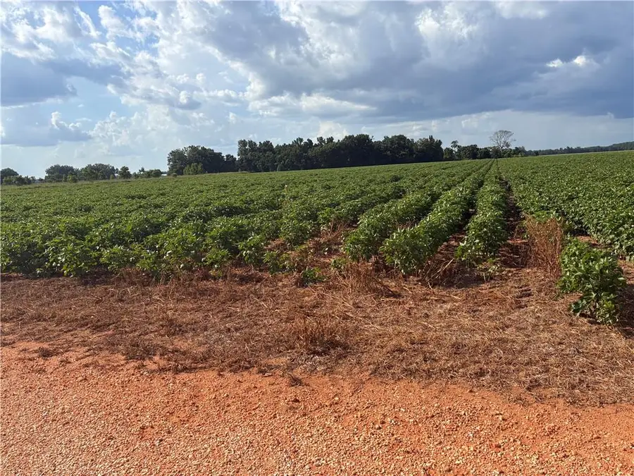 0 Davis Pond Road, Atmore, AL 36502 - #2