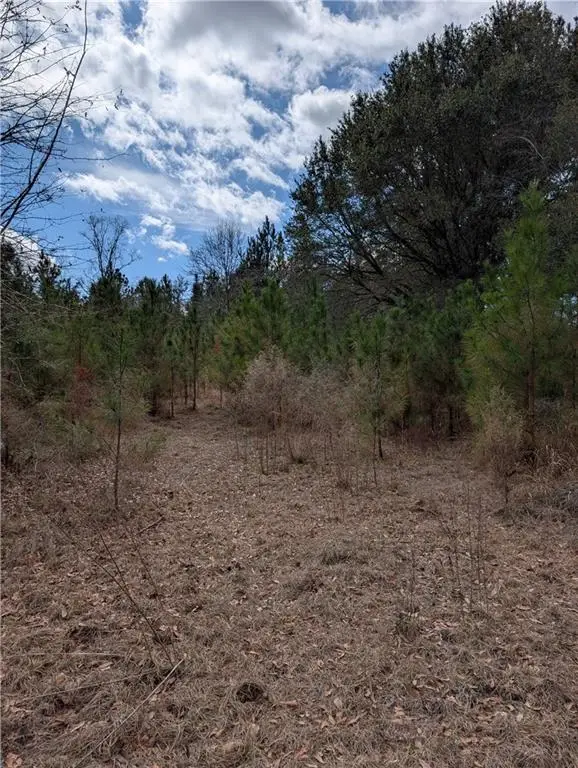 14935 Old Pascagoula Road, Grand Bay, AL 36541 - #3
