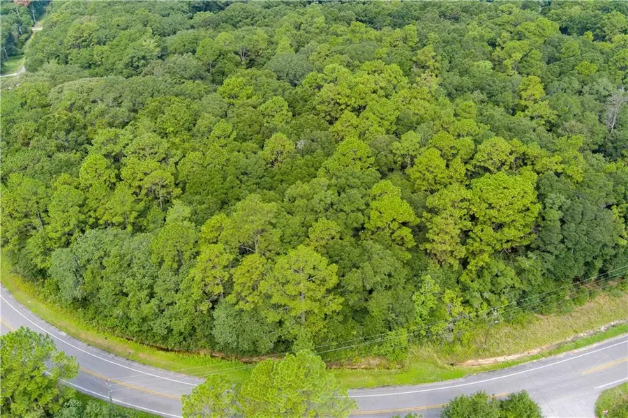 4050 Leroy Stevens Road, Mobile, AL 36619 - #3
