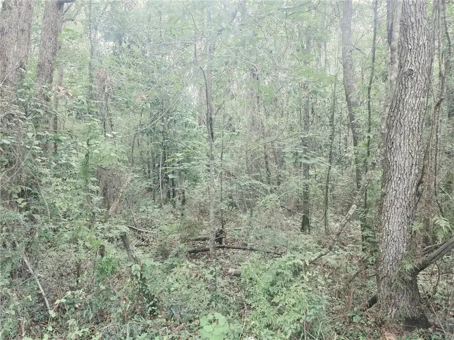 2 Two Mile Road, Irvington, AL 36544 - #2