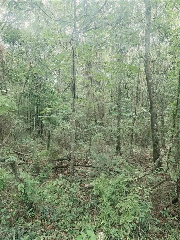 3 Two Mile Road, Irvington, AL 36544 - #3
