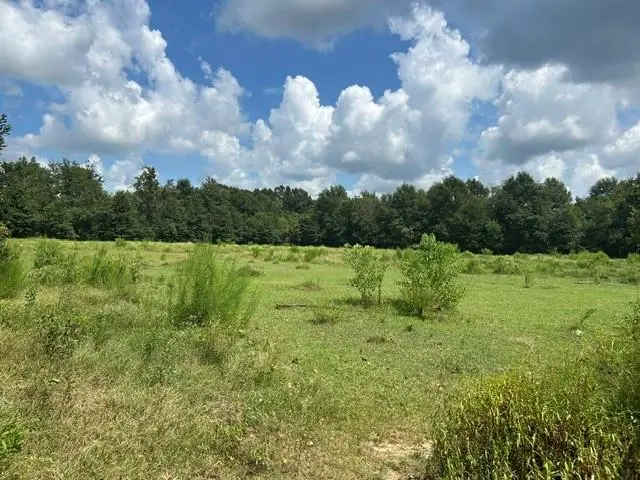 0 Cody Driskell Road, Irvington, AL 36544 - #1