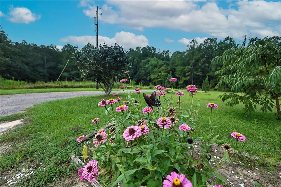7564 Highway 45, Eight Mile, AL 36613 - #3