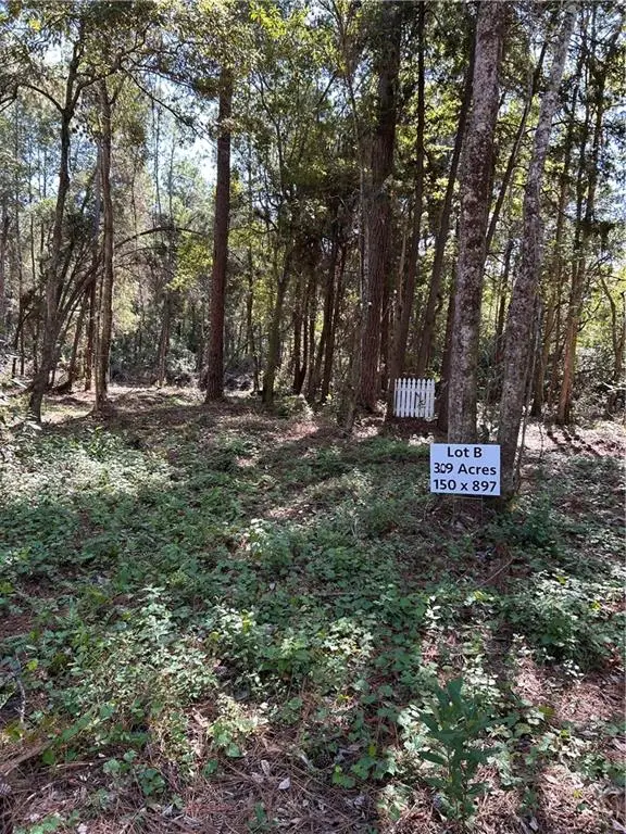 12234 Bay Street, Fairhope, AL 36532 - #2