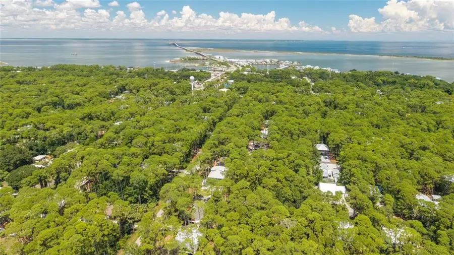 911 Lavigne Place, Dauphin Island, AL 36528 - #3