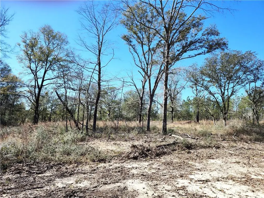 0 Hampton Road, Mobile, AL 36608 - #1