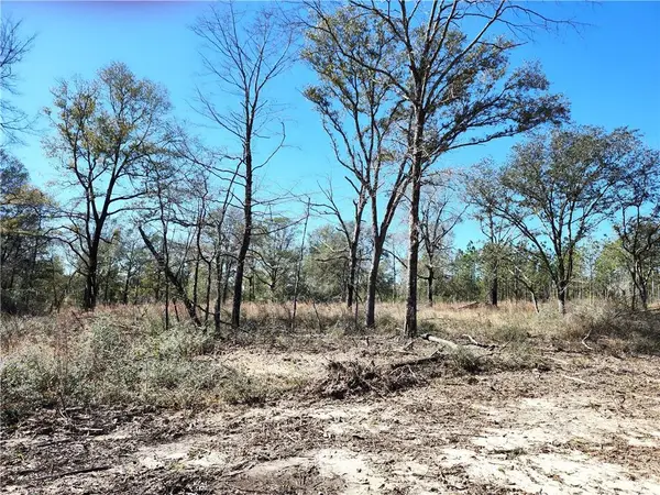 0 Hampton Road, Mobile, AL 36608