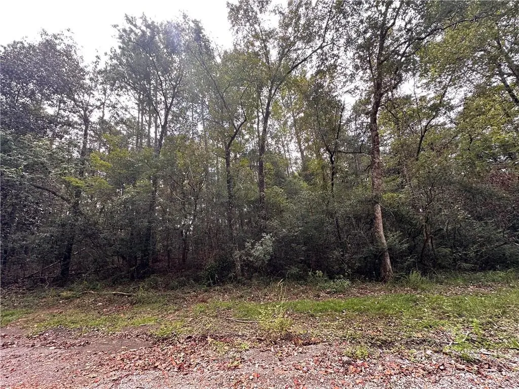 0 Lukoli Lane, Saraland, AL 36571 - #1
