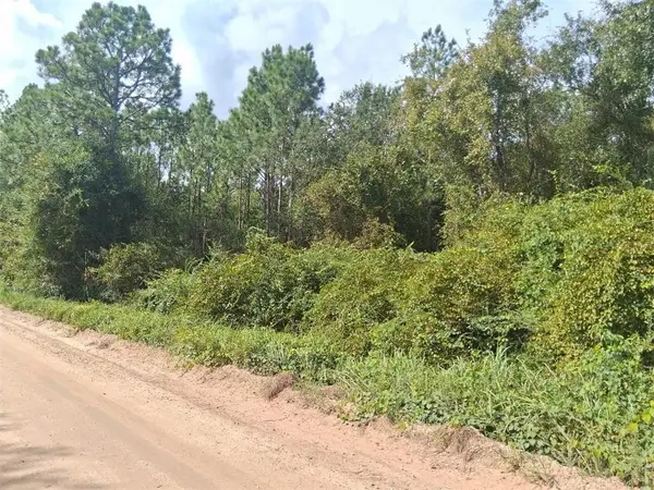 0 Marbels Road, Grand Bay, AL 36541