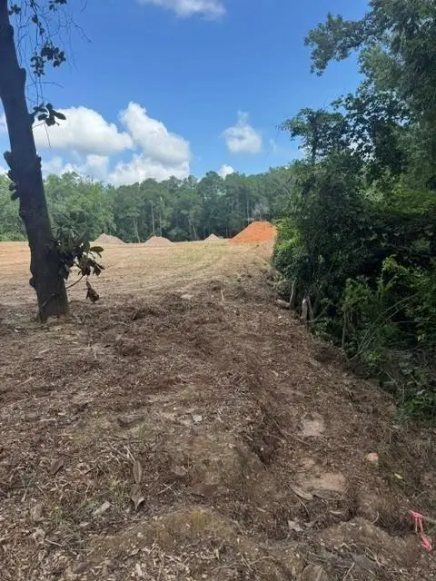 0 Park Drive, Daphne, AL 36526 - #3