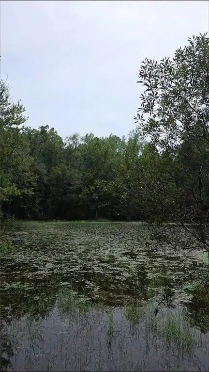 9350 Chunchula Landfill Road, Chunchula, AL 36521 - #2