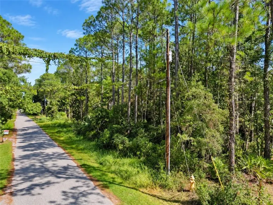 309 Chenault Avenue, Dauphin Island, AL 36528 - #3