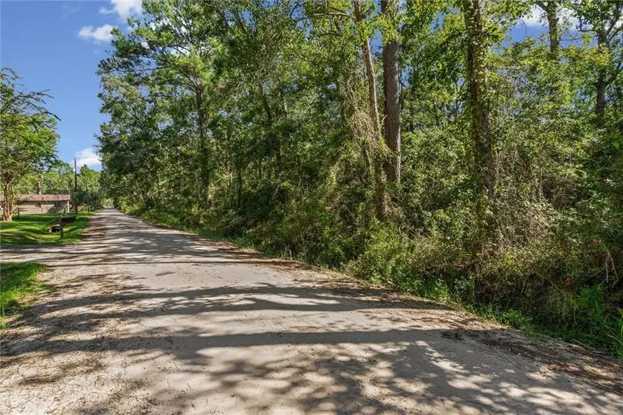 16045 Williams Road, Coden, AL 36523 - #2