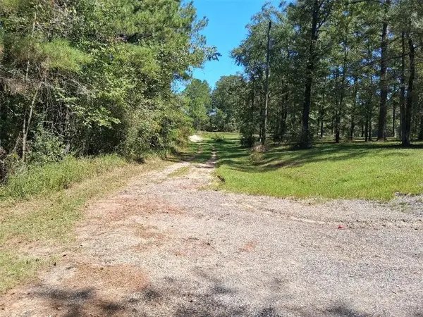 14765 Dolive Lane, Wilmer, AL 36587
