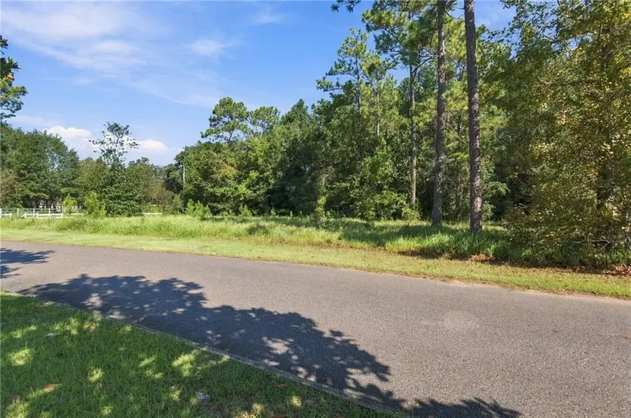 0 March Pointe Court, Theodore, AL 36582 - #2