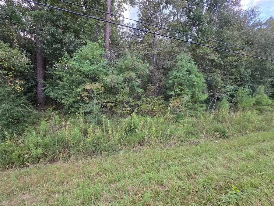 0 Dauphin Island Parkway, Coden, AL 36523 - #2