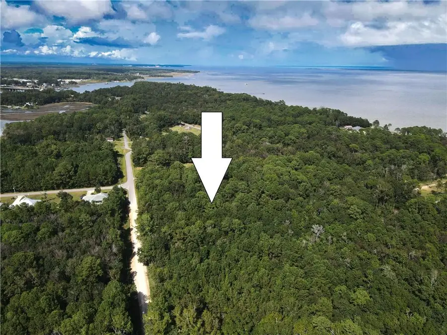 0 Dauphin Island Parkway, Coden, AL 36523 - #3