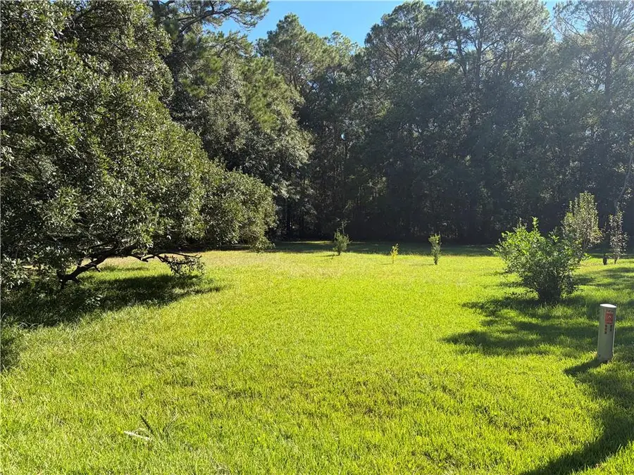 0 Bayou Jonas Drive, Coden, AL 36523 - #3