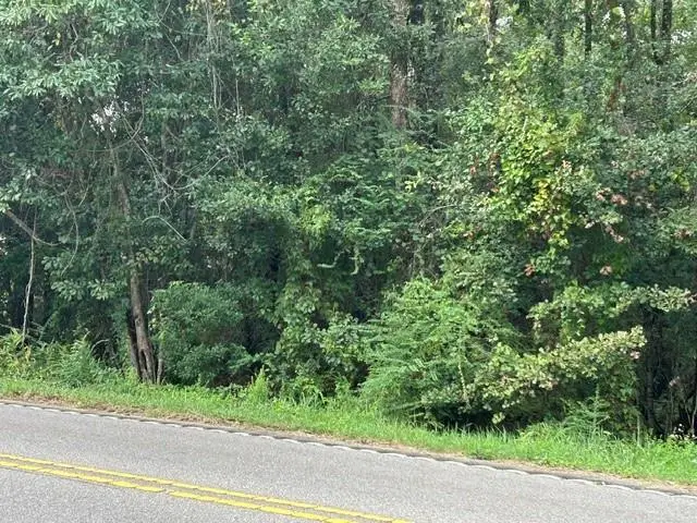 9226 Dauphin Island Parkway S, Theodore, AL 36582 - #2